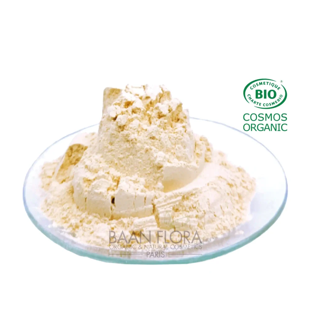 Ashwagandha en poudre bio baan flora