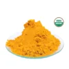 racines de curcuma bio en poudre en poudre