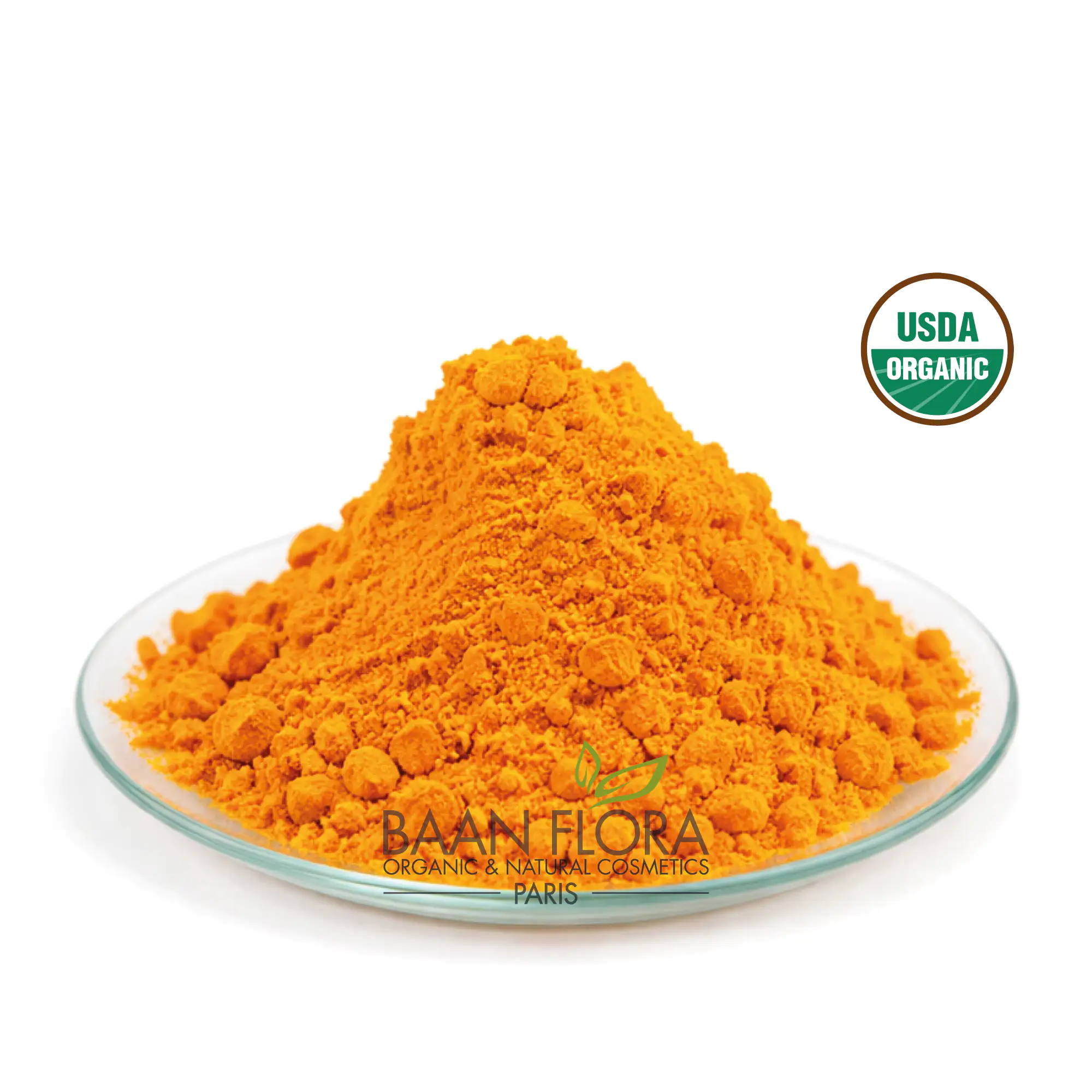 racines de curcuma bio en poudre en poudre