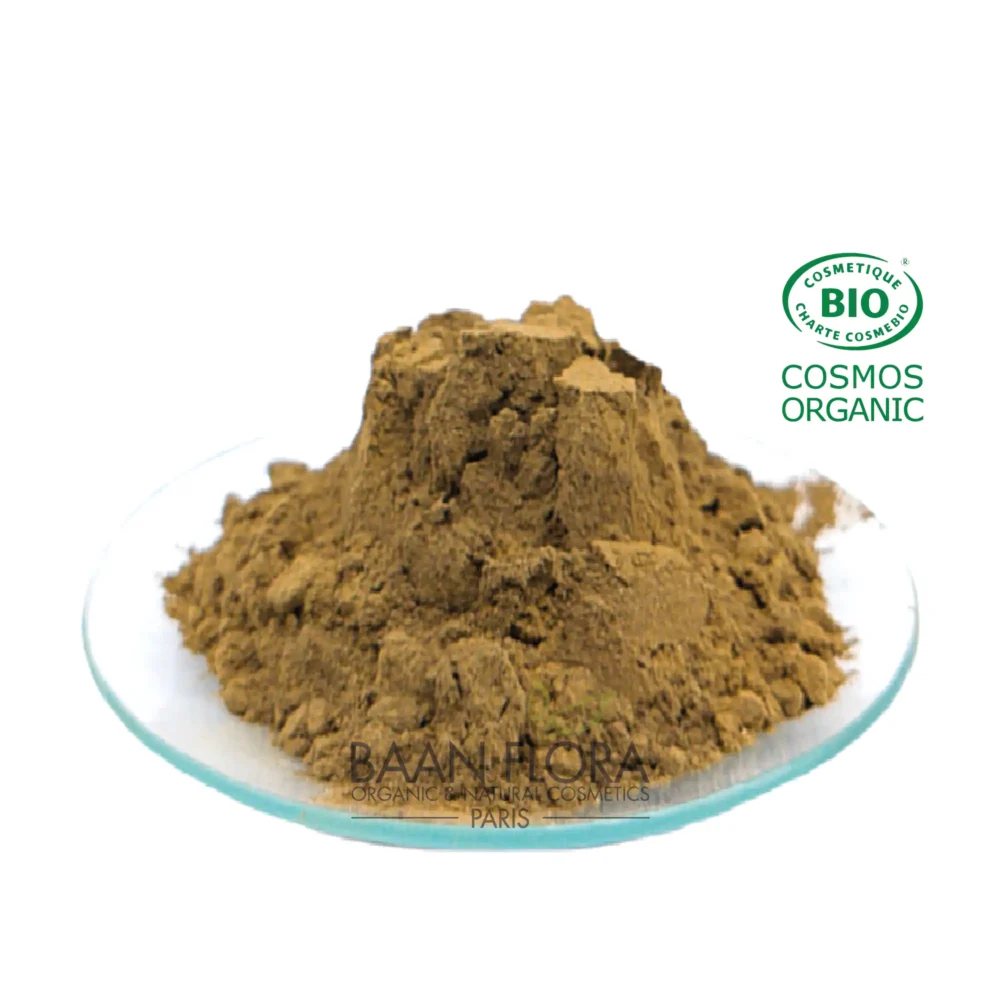 Tulsi bio en poudre Baan Flora
