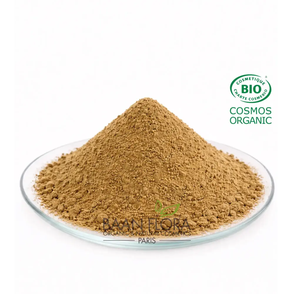 Tulsi bio en poudre Baan Flora