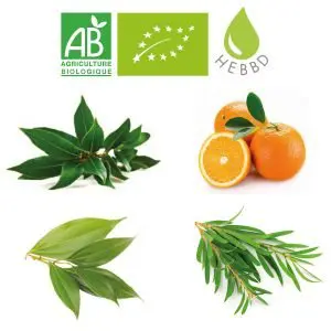 ravinsara tea tree cannelle de chine orange douce