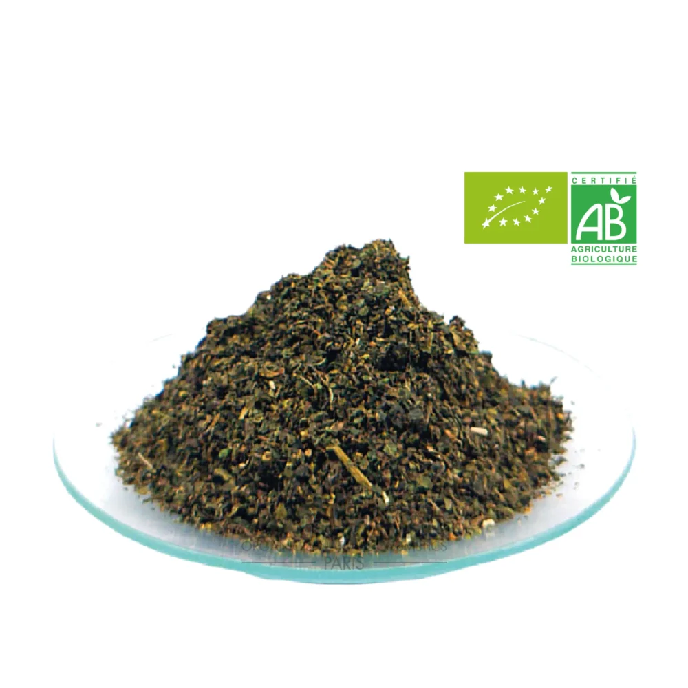 ortie piquante bio feuilles coupées baan flora