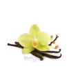 Arôme naturel vanille Baan Flora