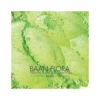 Colorant mica vert nature lustré