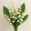 Huile parfumée muguet baan flora