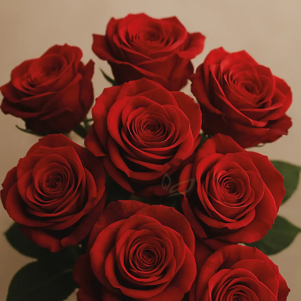 Huile parfumée rose rouge Baan Flora