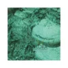 Colorant mica vert forêt satine Baan Flora